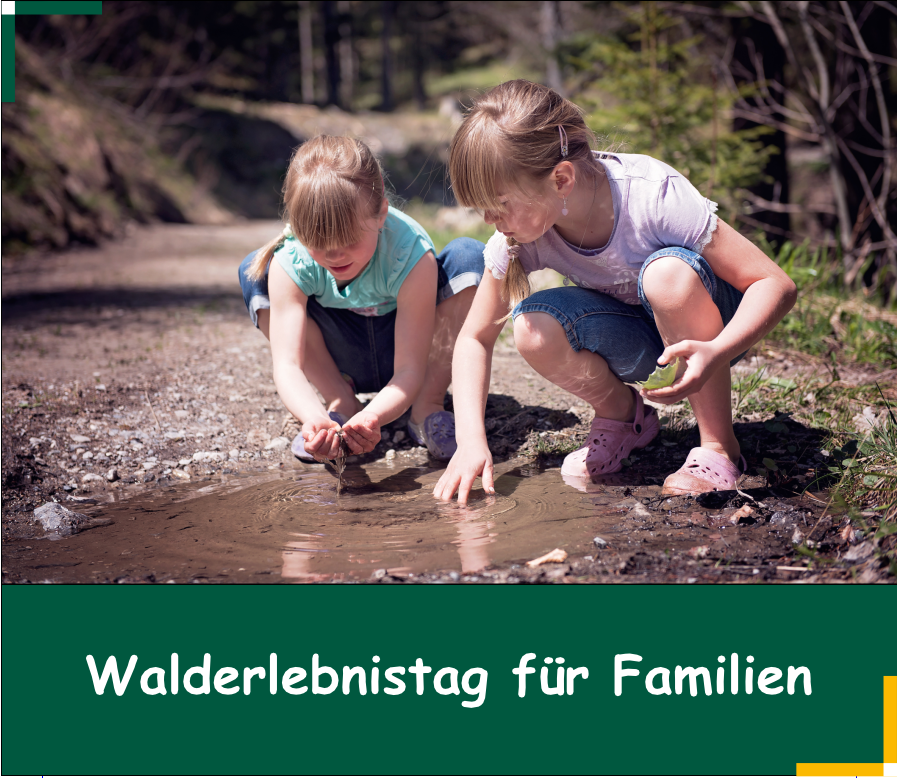 Sommer 2022-Walderlebnistag