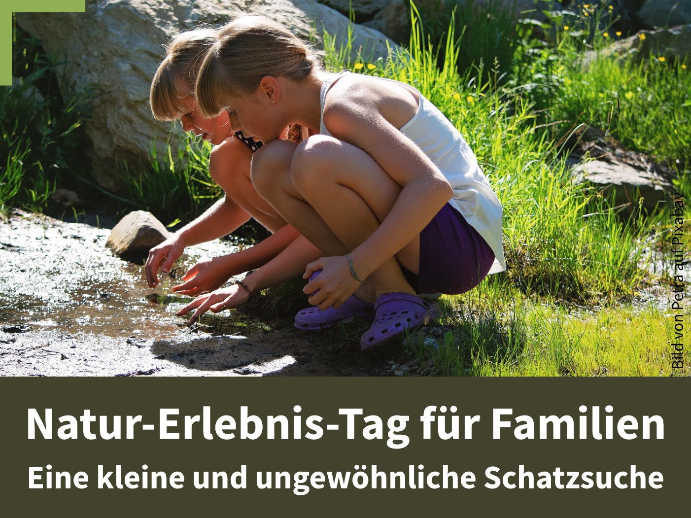25-07 Walderlebnistag-Bild